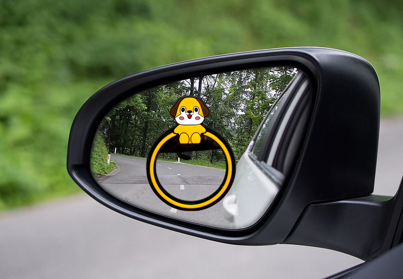 Blind Spot Mirror (pack of 2)
